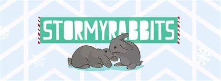 StormyRabbits
