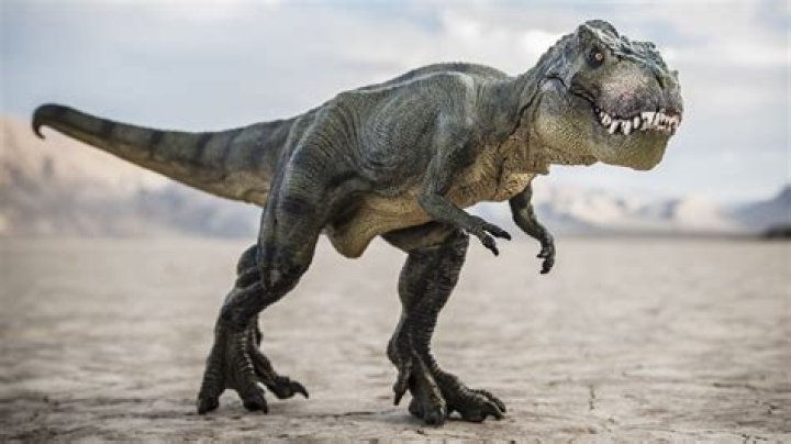 T-Rex Net Worth