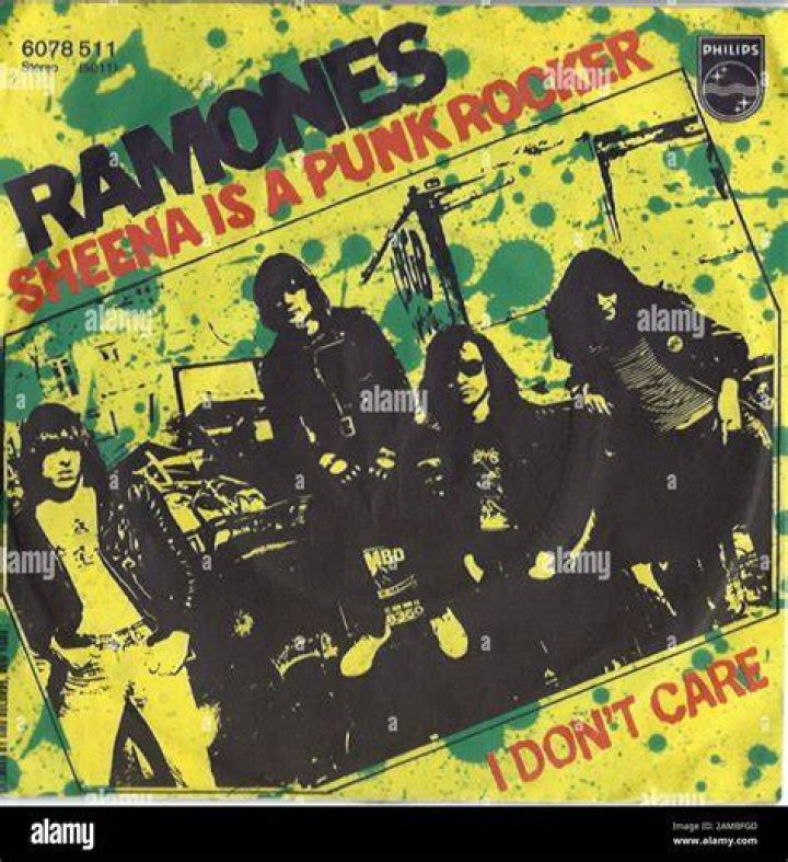 The Ramones: Sheena Is A Punk Rocker - Easy Power Chord Guitar Lesson - punk songs with 3 chords