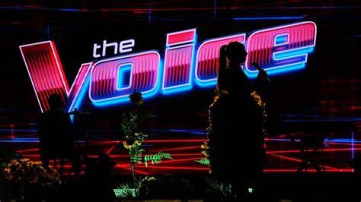 The Voice Coaches The Voice Coaches