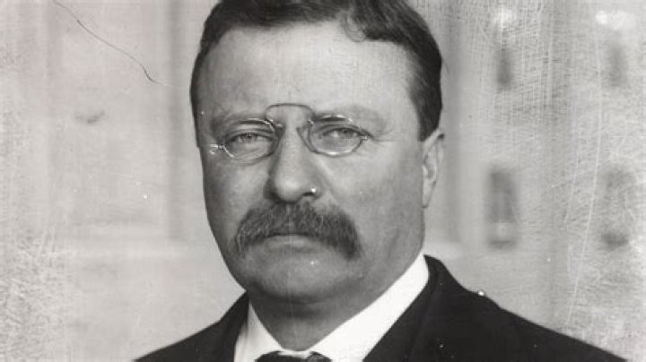 Theodore Roosevelt contributions Theodore Roosevelt contributions