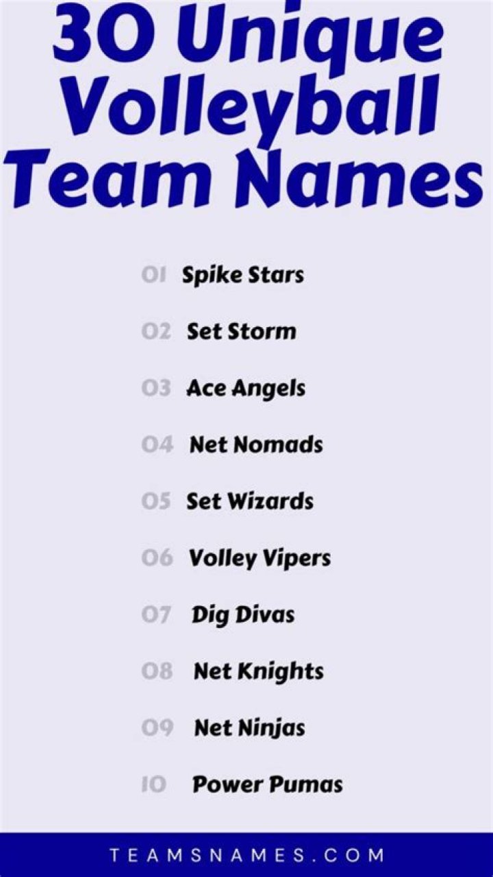 volleyball team names volleyball team names