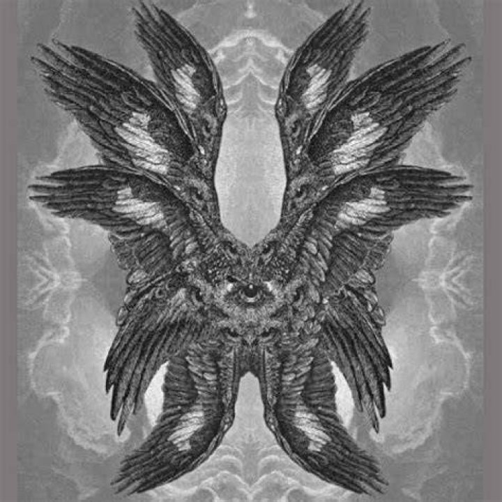 what do angels look like