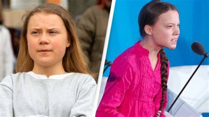 What has Greta Thunberg done What has Greta Thunberg done