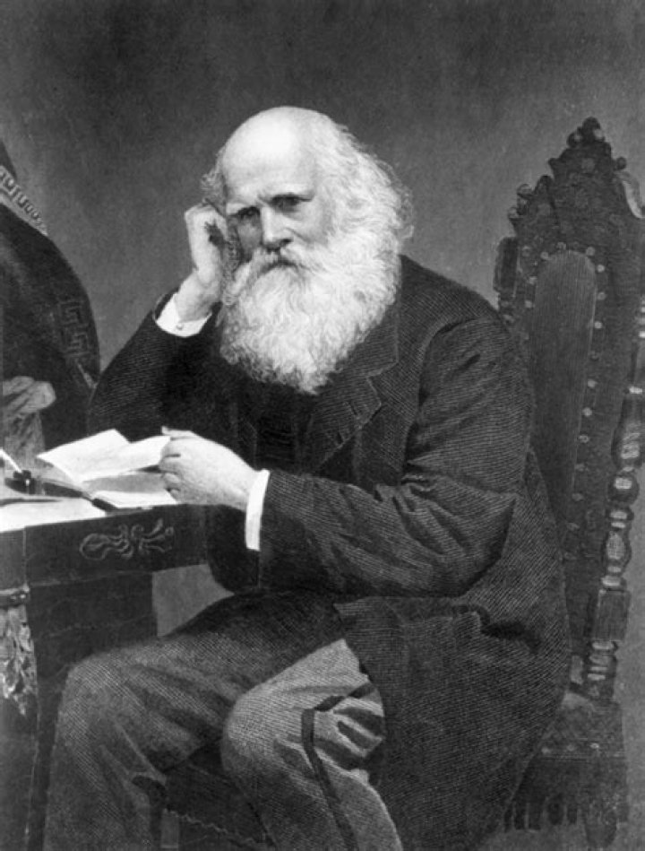 William Cullen Bryant Net Worth