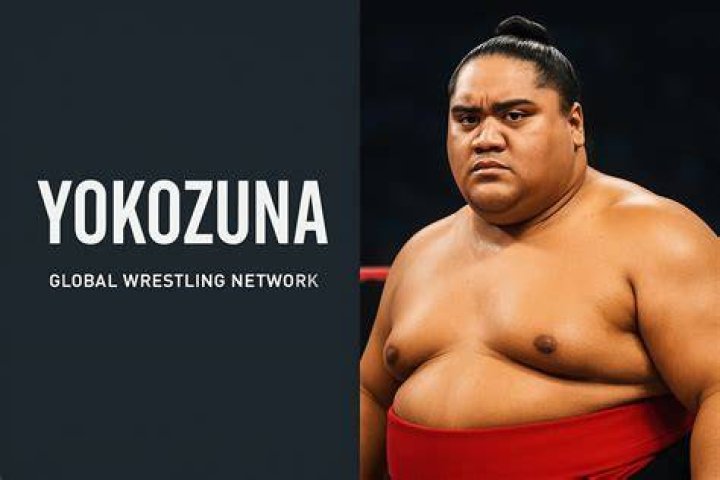 Yokozuna Net Worth